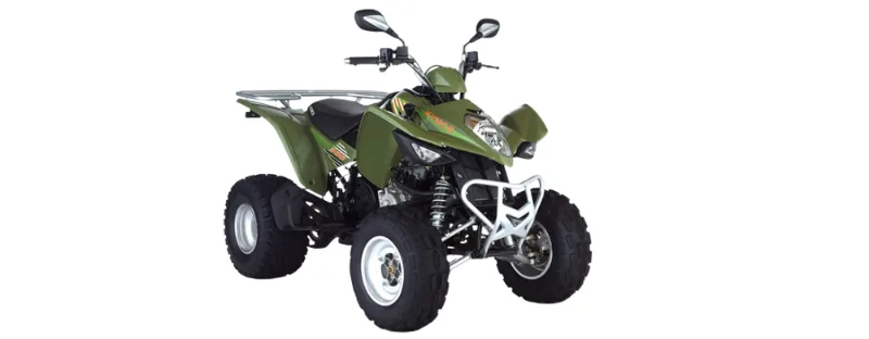 Quad Palmeraie Ride - 249 DH